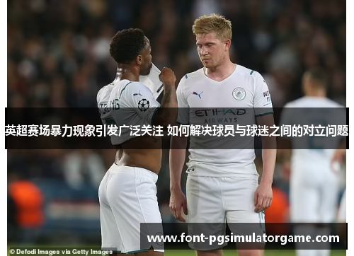 英超赛场暴力现象引发广泛关注 如何解决球员与球迷之间的对立问题
