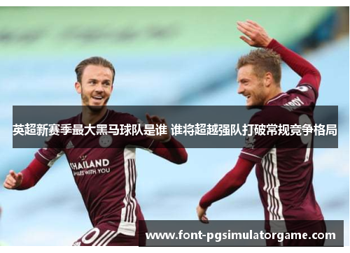 英超新赛季最大黑马球队是谁 谁将超越强队打破常规竞争格局