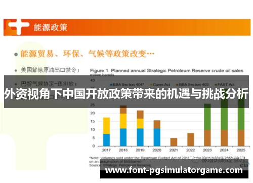 外资视角下中国开放政策带来的机遇与挑战分析