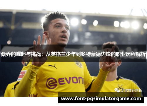 桑乔的崛起与挑战：从英格兰少年到多特蒙德边锋的职业历程解析
