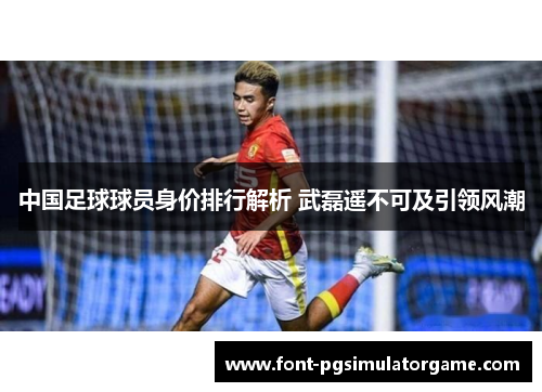 中国足球球员身价排行解析 武磊遥不可及引领风潮