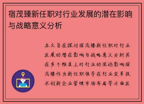 宿茂臻新任职对行业发展的潜在影响与战略意义分析