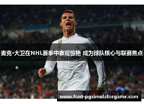 麦克·大卫在NHL赛季中表现惊艳 成为球队核心与联赛焦点