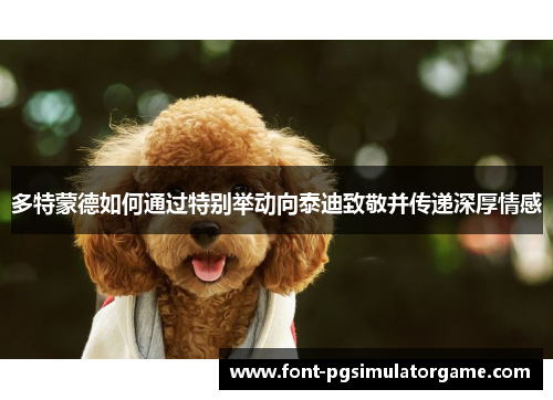 多特蒙德如何通过特别举动向泰迪致敬并传递深厚情感