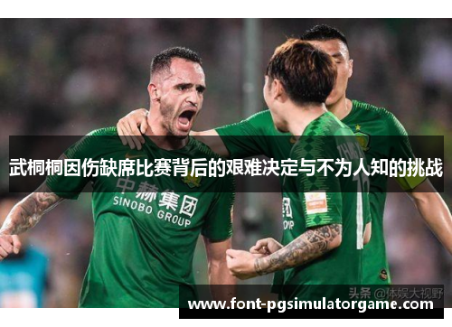 武桐桐因伤缺席比赛背后的艰难决定与不为人知的挑战